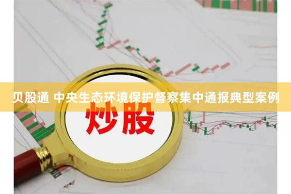 贝股通 中央生态环境保护督察集中通报典型案例