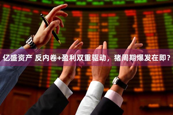 亿盛资产 反内卷+盈利双重驱动，猪周期爆发在即？
