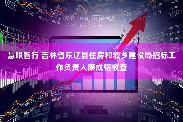 慧眼智行 吉林省东辽县住房和城乡建设局招标工作负责人康成铭被查