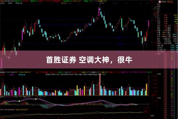 首胜证券 空调大神，很牛