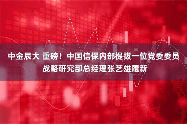 中金辰大 重磅！中国信保内部提拔一位党委委员 战略研究部总经理张艺雄履新