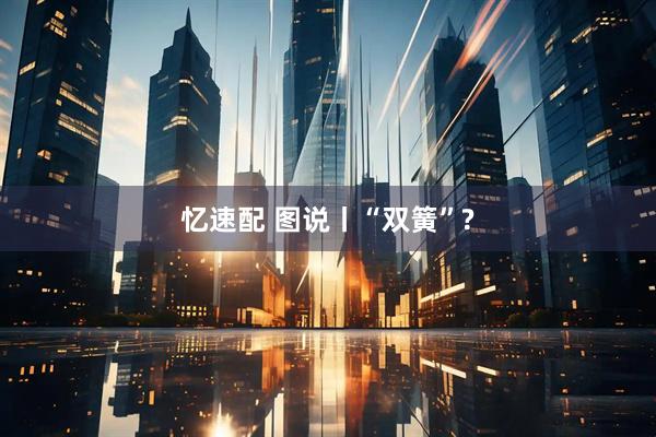 忆速配 图说丨“双簧”?